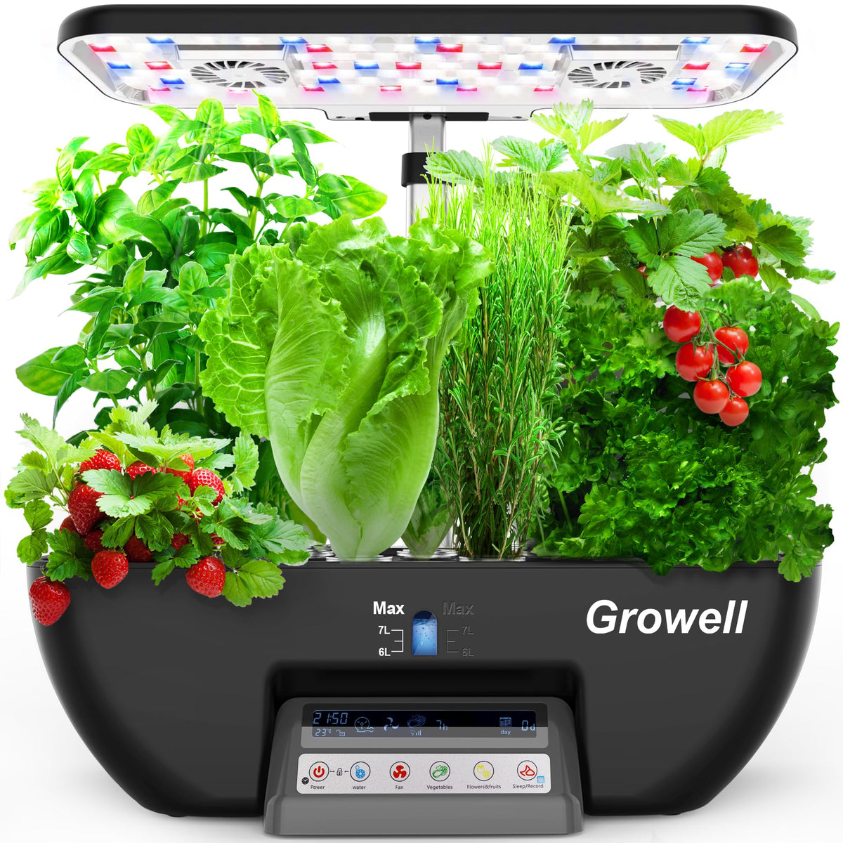 Growell hydroponics system setup for a compact indoor garden with a clean workspace.