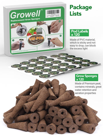 Growell pods outdoor transplant-ready from indoor germination.