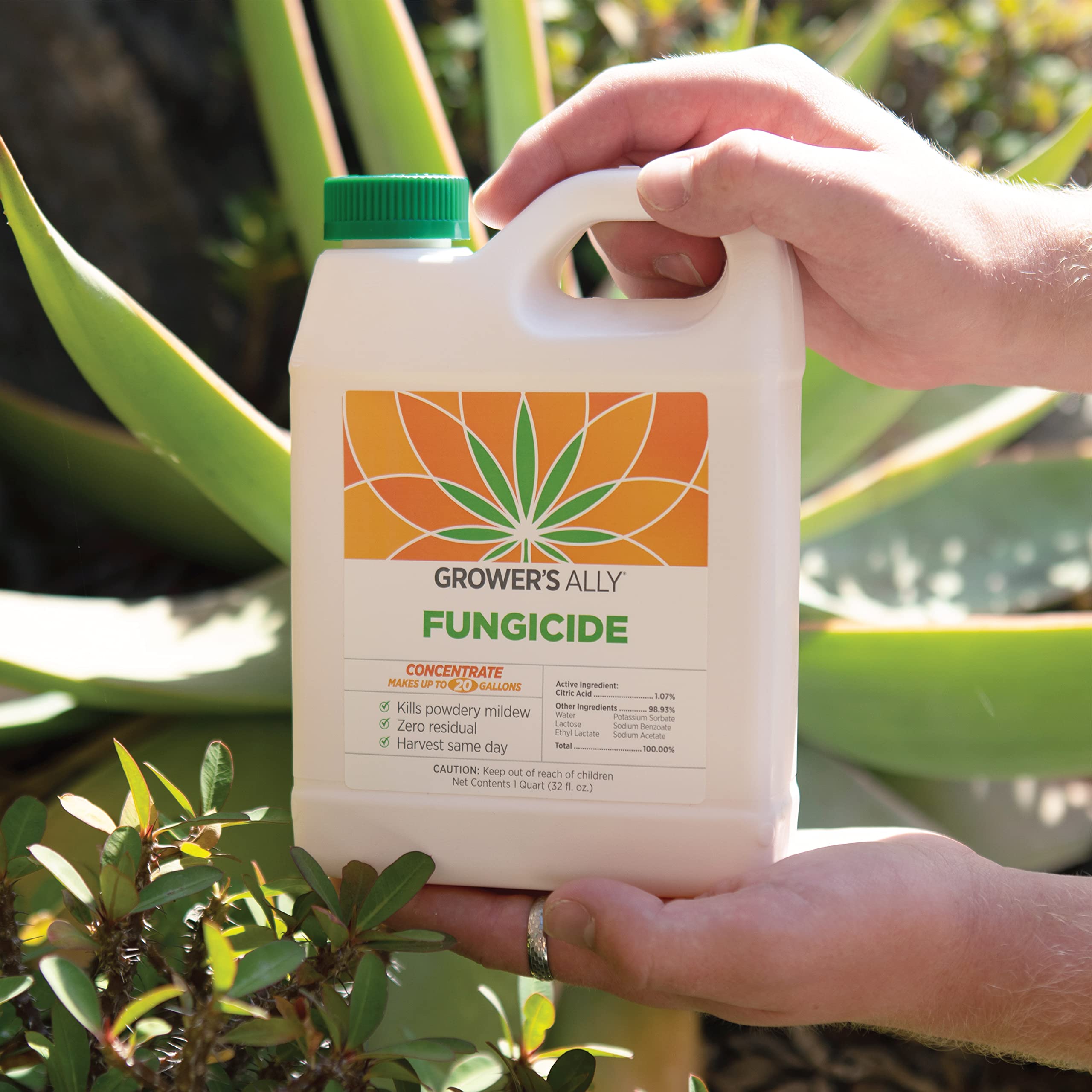 Grower's Ally Fungicide indoor use helps protect houseplants from common pathogens