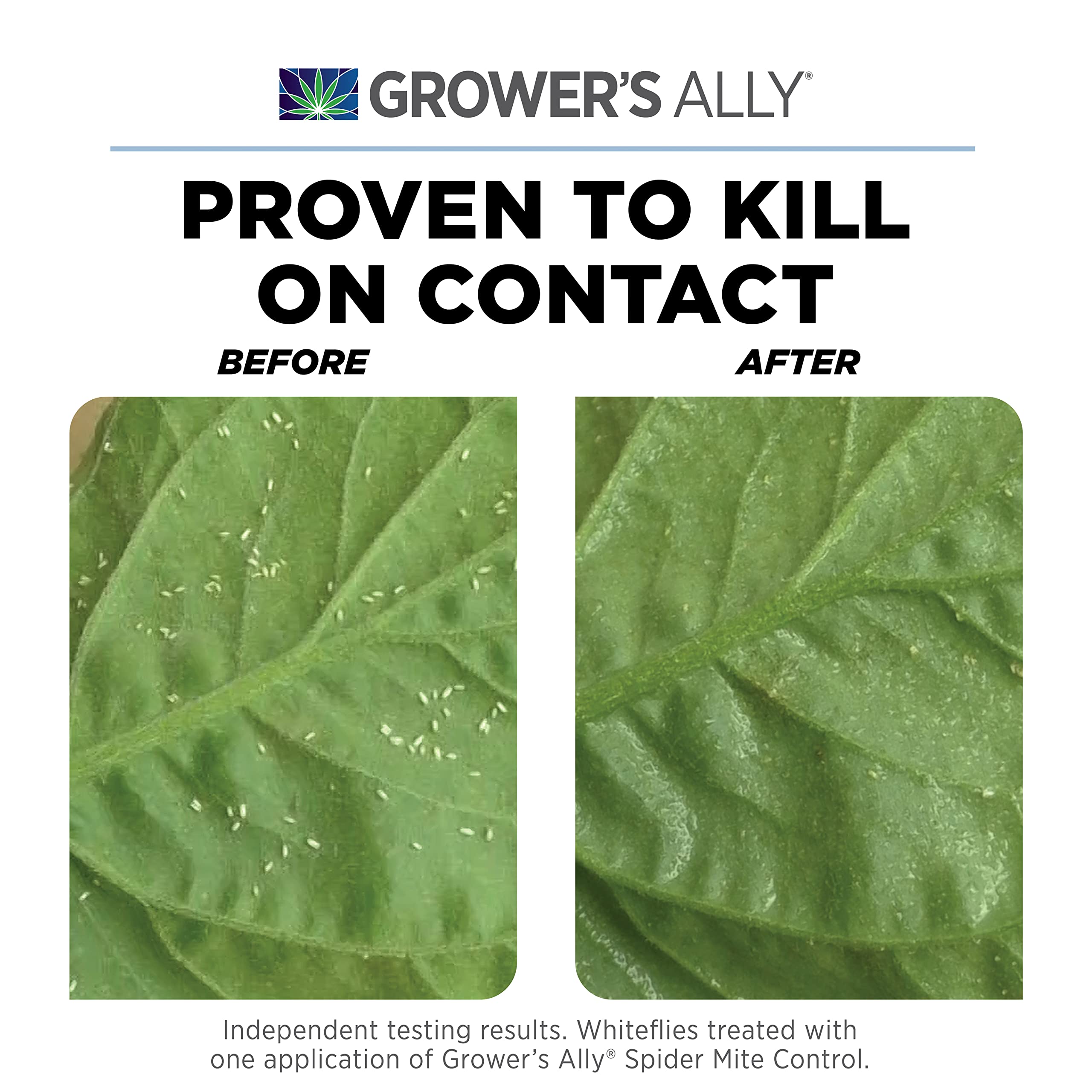 Grower's Ally Spider Mite Spray mist on leaves for rapid contact control of mites.