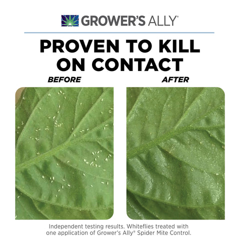 Grower's Ally Spider Mite Spray mist on leaves for rapid contact control of mites.