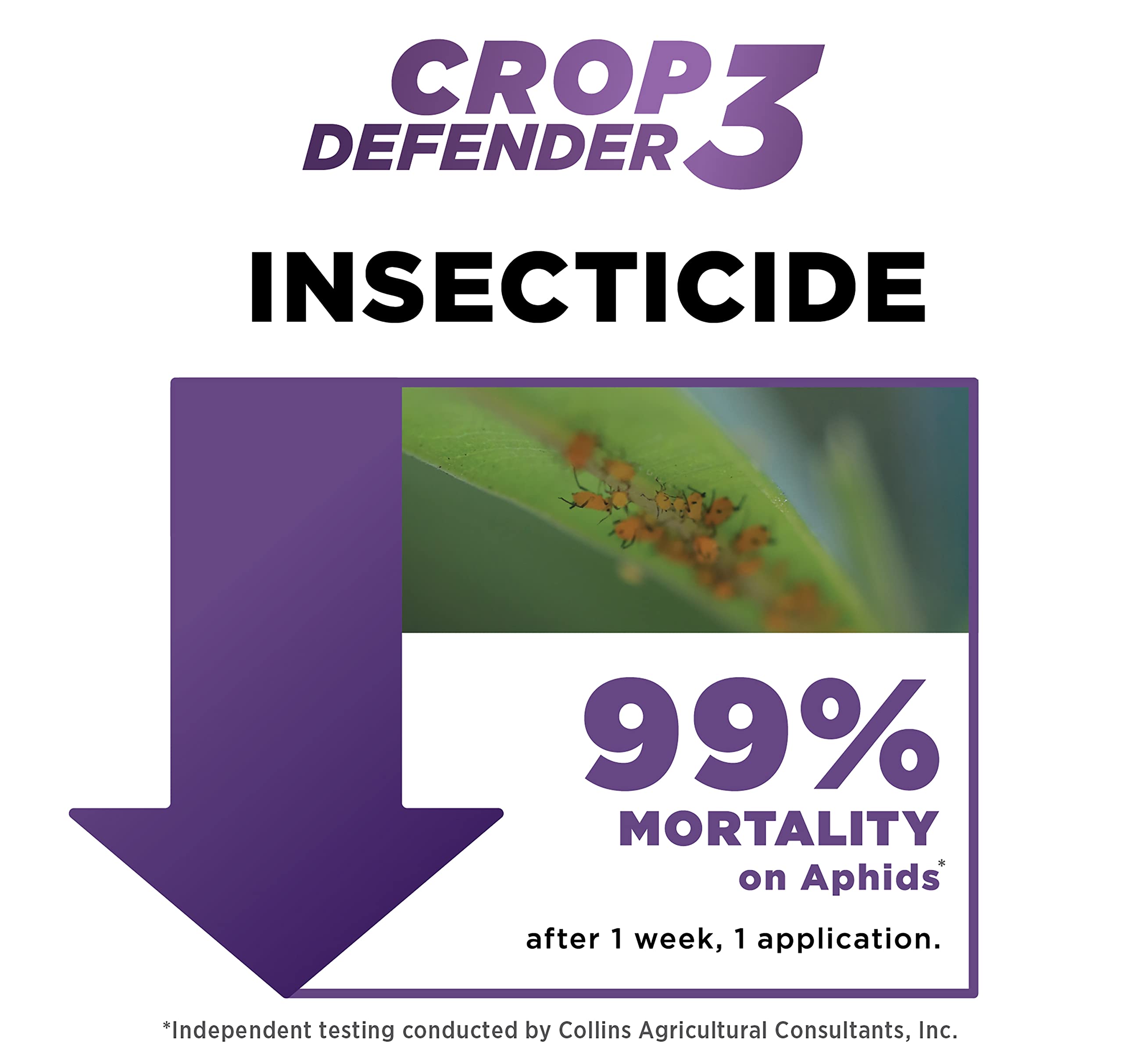 Russet mite close-up treated with Crop Defender 3.