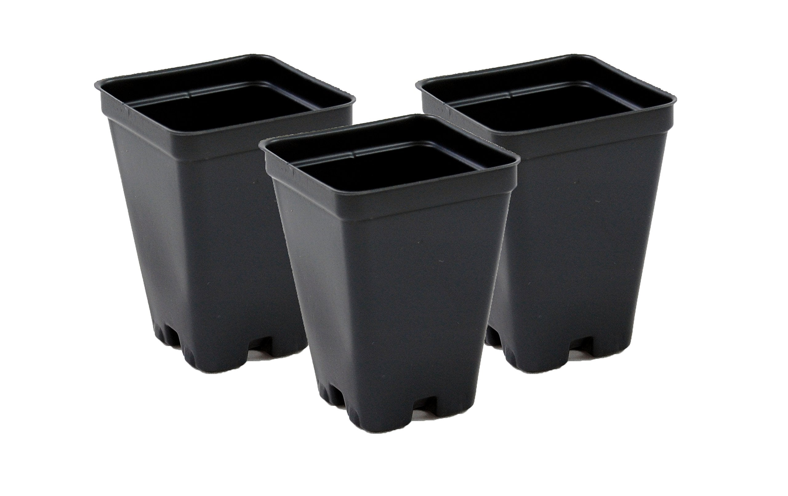 Side view of Grower's Solution pot showing drain holes and depth for robust seedling growth.