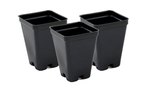 Side view of Grower's Solution pot showing drain holes and depth for robust seedling growth.