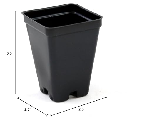 Stackable 2.5-inch pot designed to fit standard trays and pro-totes.