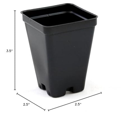 Stackable 2.5-inch pot designed to fit standard trays and pro-totes.