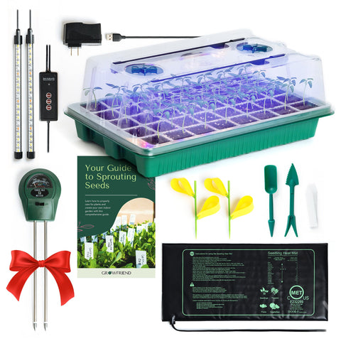 GROWFRIEND seed starter tray 40-cell setup for orderly indoor germination and propagation.