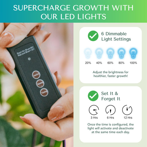 GROWFRIEND soil moisture meter helps you monitor hydration for thriving seedlings.