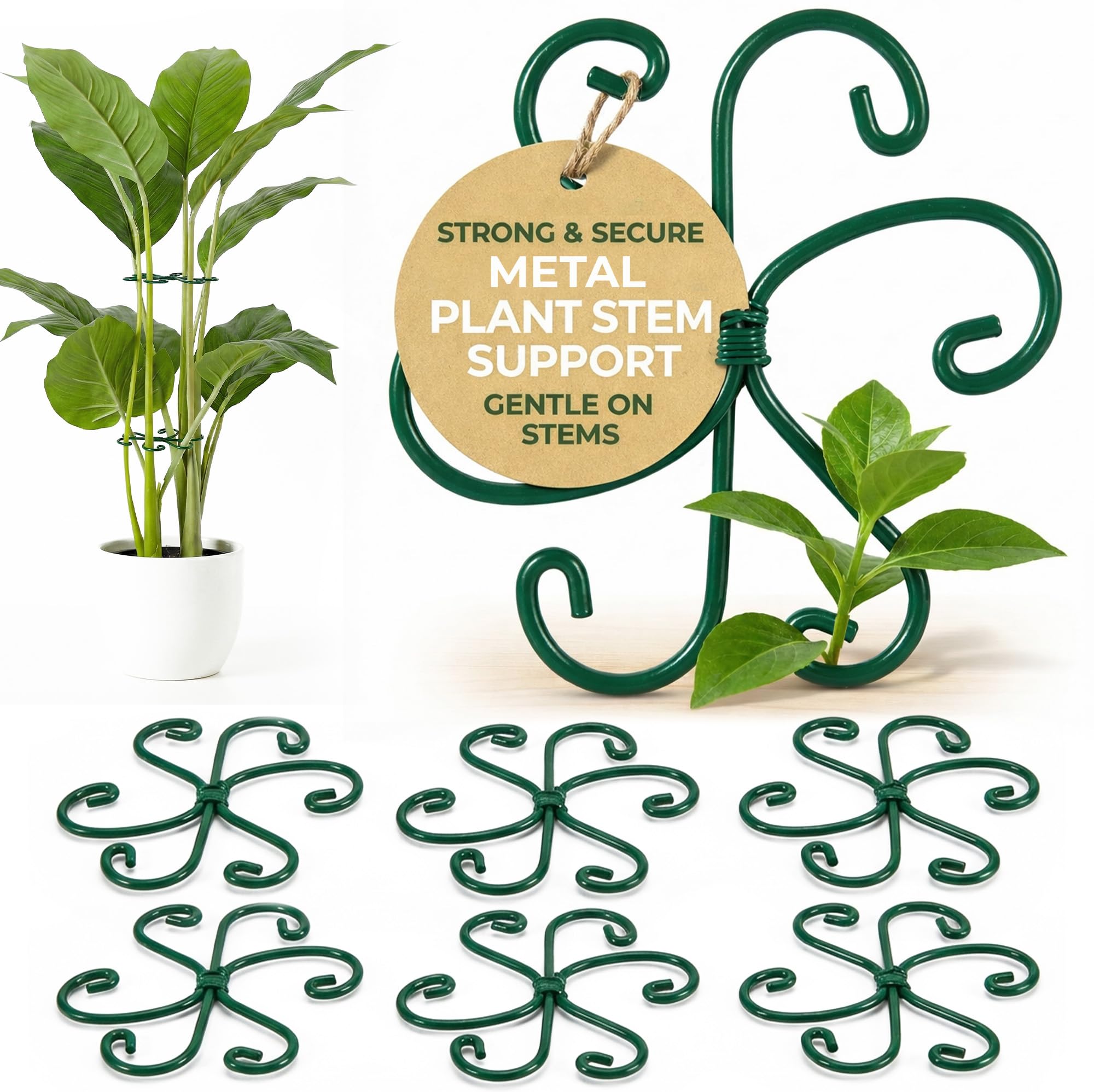 Growia 6-pack metal plant stem supports closeup, providing firm support for climbing plants.