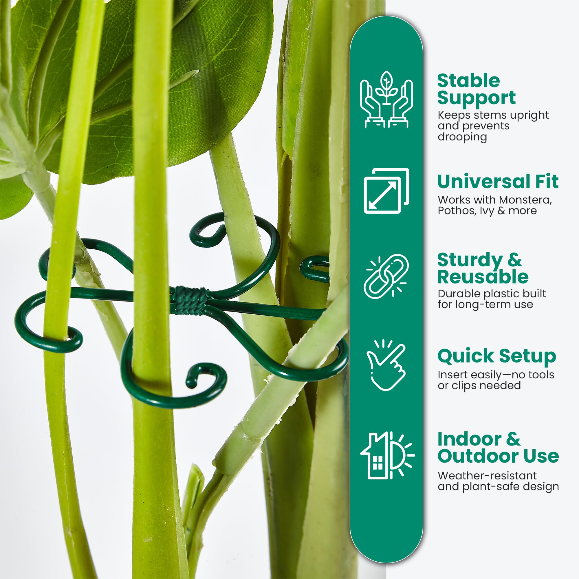 Growia monstera stem support ring supporting a lush indoor plant.