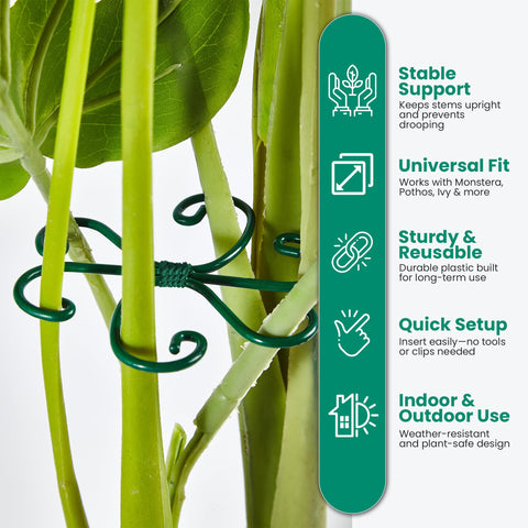 Growia monstera stem support ring supporting a lush indoor plant.