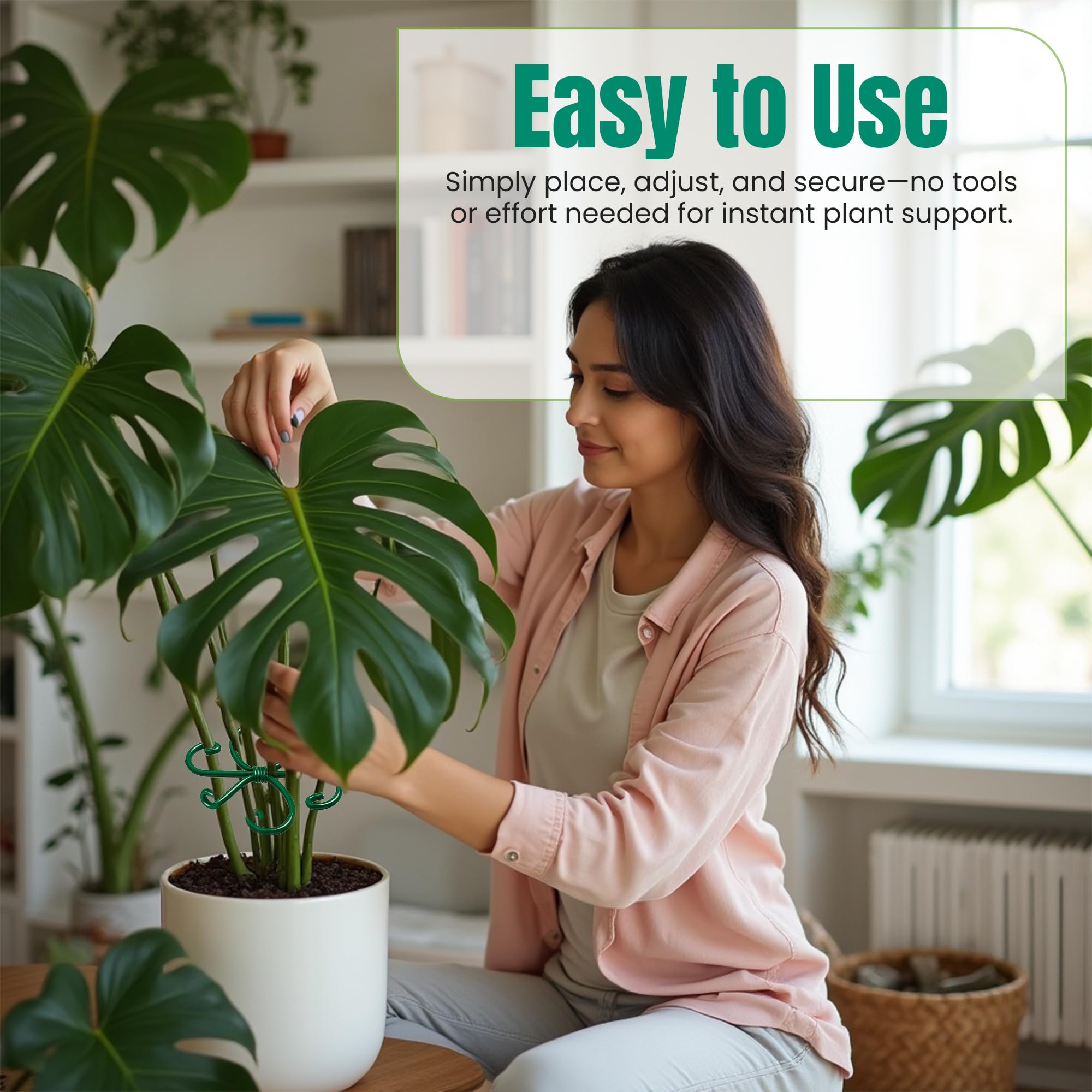 Growia neat upright growth for houseplants with secure ring stabilization.