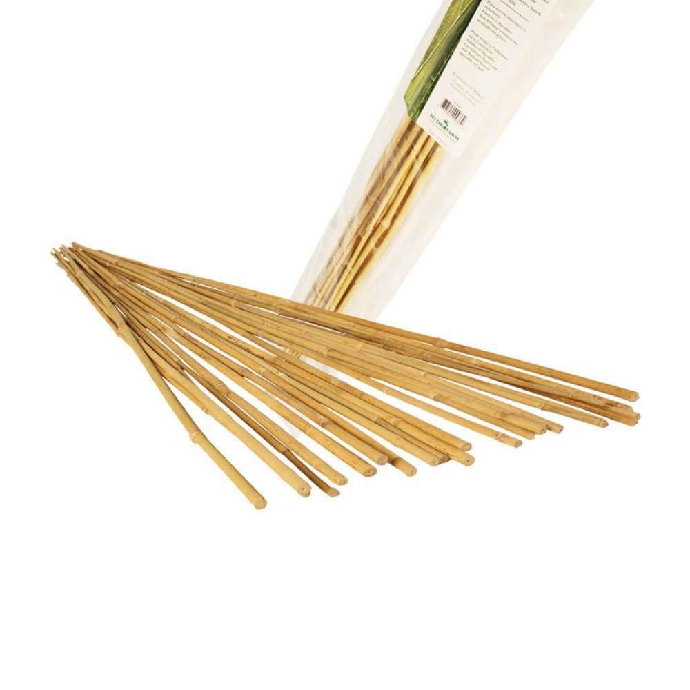 Grow!t HGBB4 bamboo stake 4ft pack of 25 provides straight growth and gentle root space
