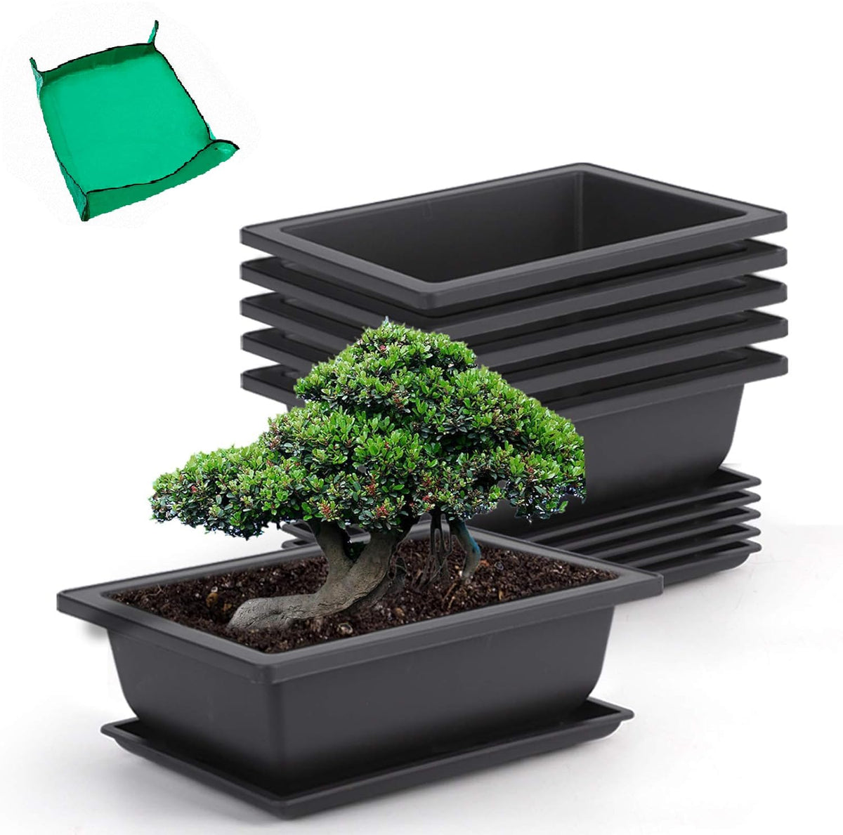 GROWNEER 6-pack bonsai pots with drainage trays for indoor and outdoor displays.