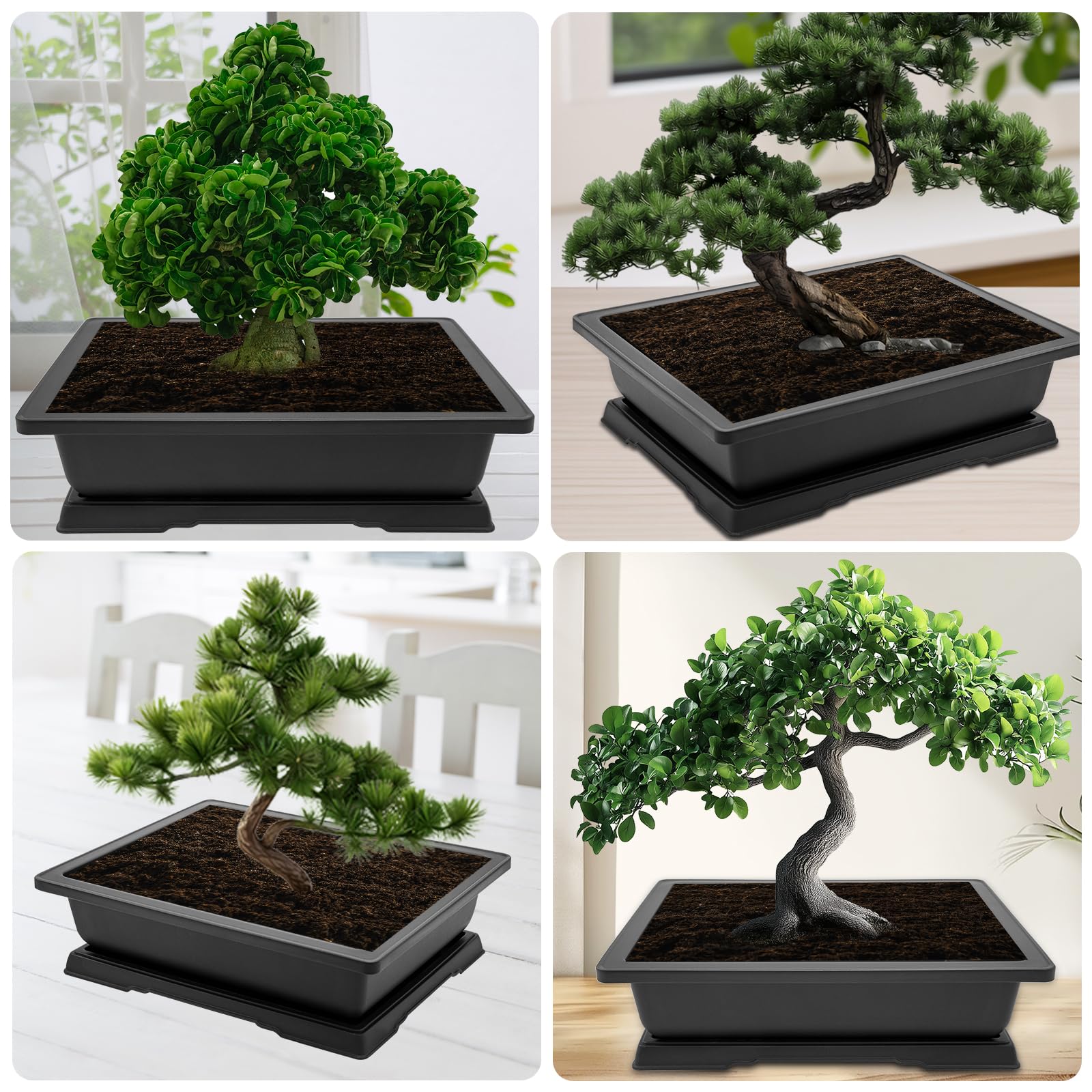 GROWNEER bonsai kit enhances gardening on windowsills or patios.