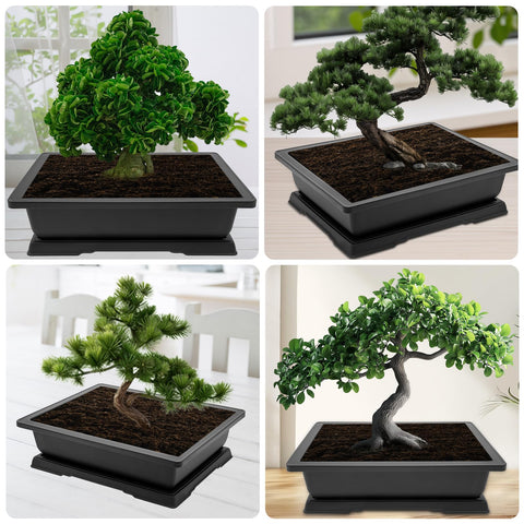 GROWNEER bonsai kit enhances gardening on windowsills or patios.