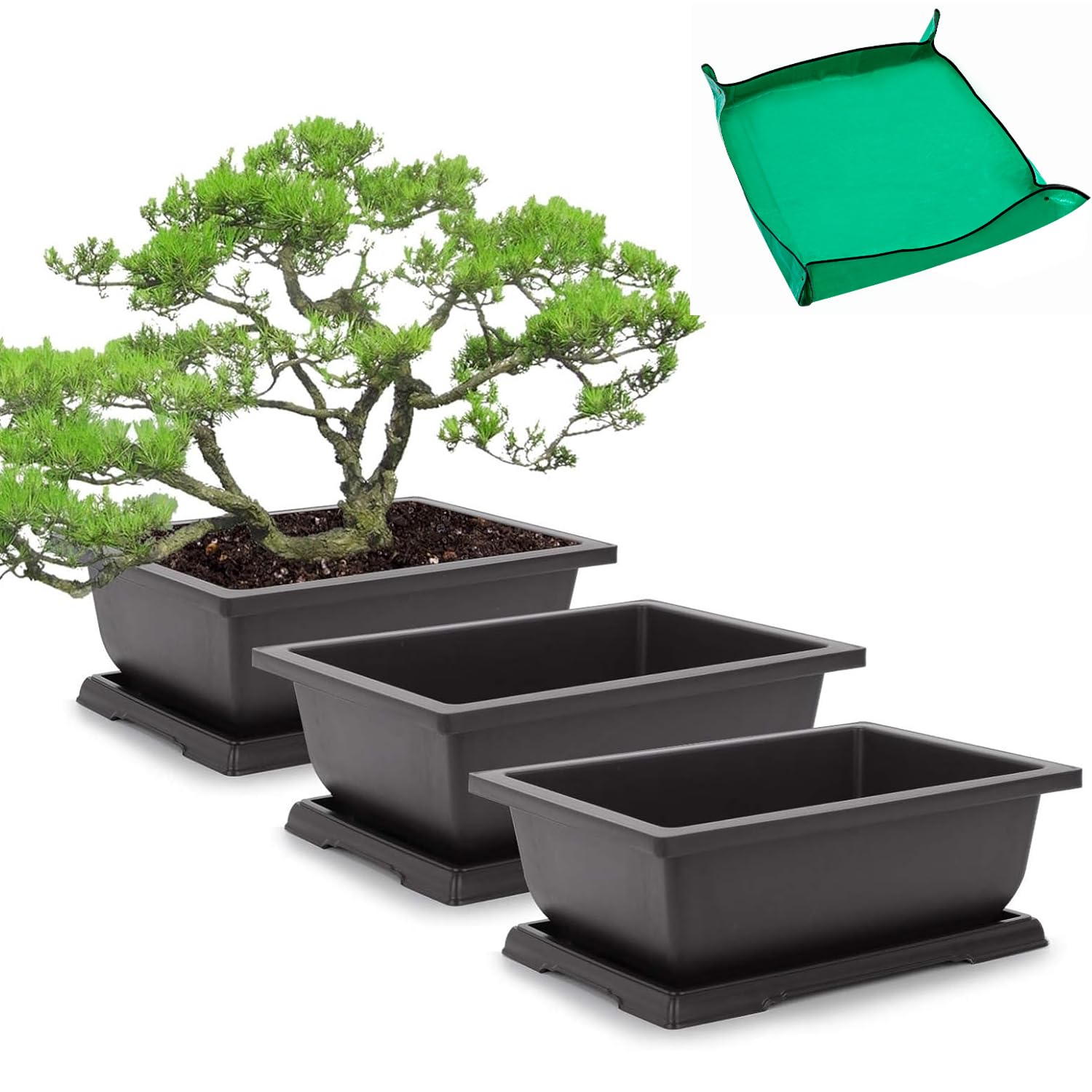 GROWNEER bonsai pot front view, durable plastic design for outdoor use.