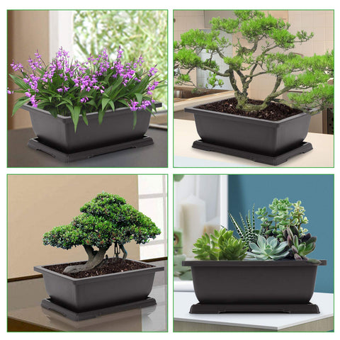 GROWNEER 3-pack bonsai pots ready for gift-ready display.