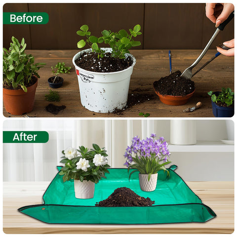 GROWNEER bonsai pot set for indoor and outdoor display.