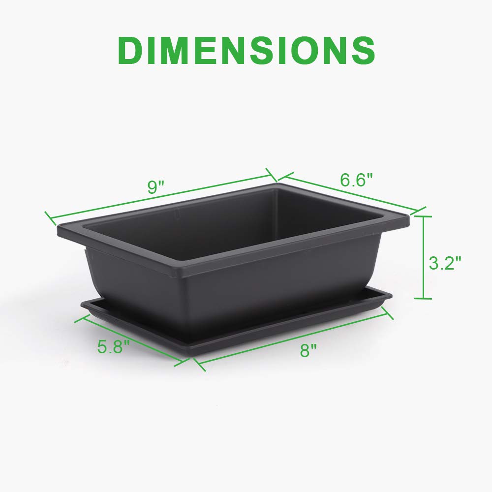 GROWNEER bonsai pot with built-in drainage supports healthy root airflow.
