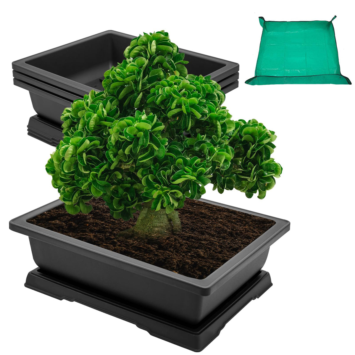 Growneer 14-inch rectangular bonsai training pot designed for organized root care.