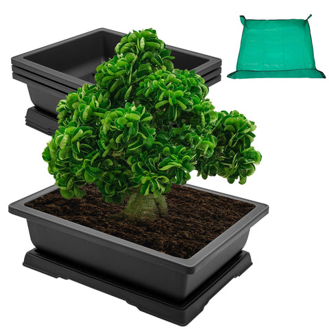 Growneer 14-inch rectangular bonsai training pot designed for organized root care.