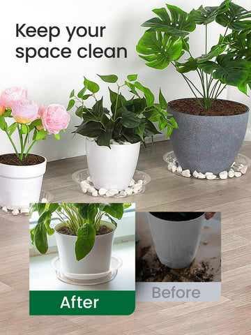 Growneer clear 10-inch plant saucer protects surfaces while showcasing pots.