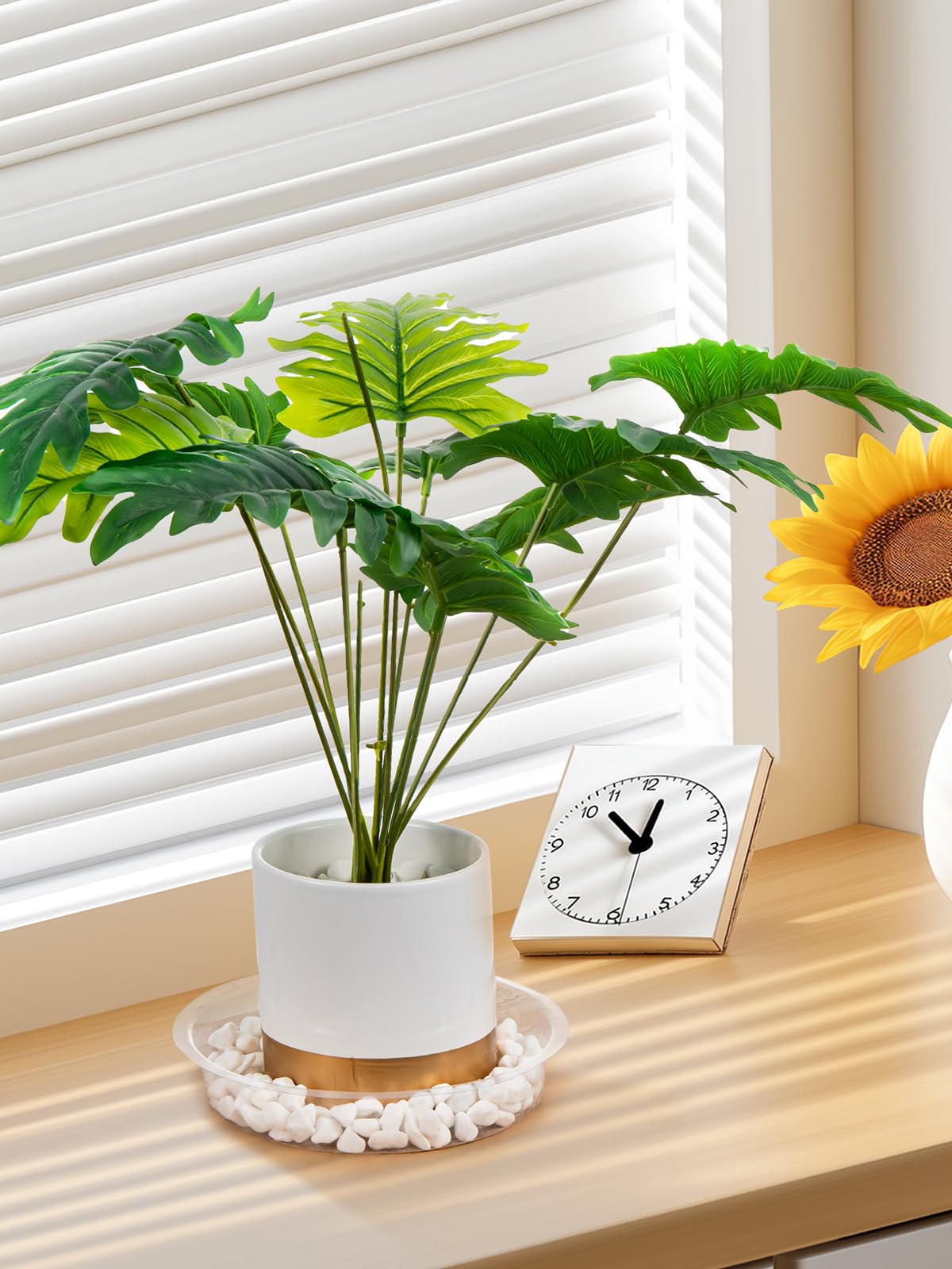 Growneer clear plastic design ideal for DIY plant displays.