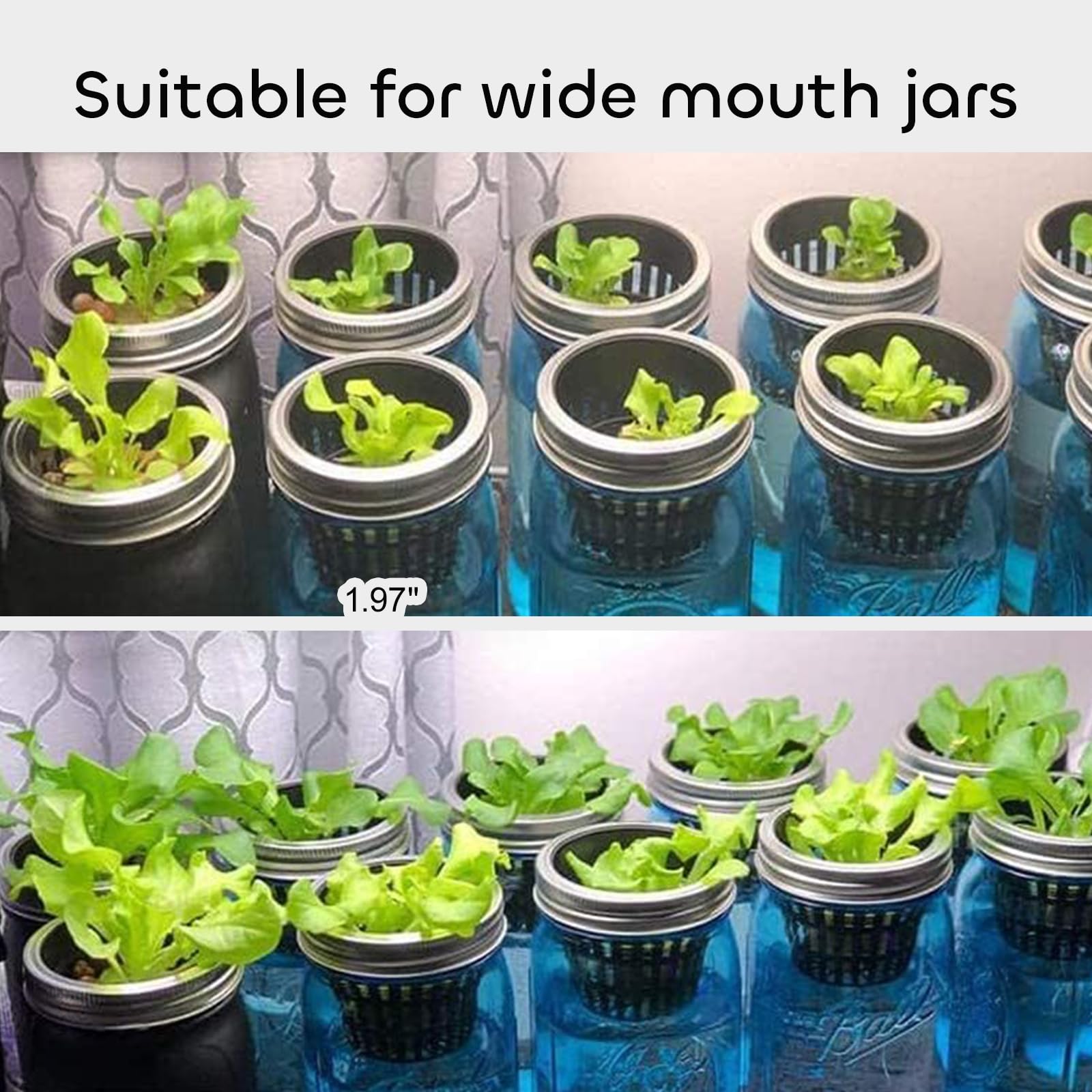 Growneer suitable for both indoor and outdoor garden setups