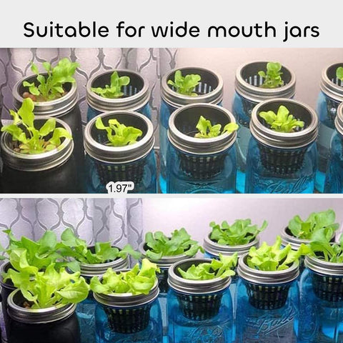 Growneer suitable for both indoor and outdoor garden setups