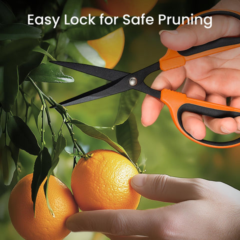 GROWNEER pruning shrubs and hedges with smooth, clean cuts.