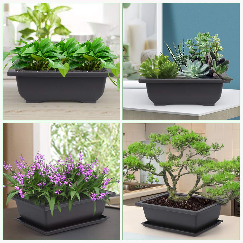 GROWNEER rectangle planter for bonsai suitable for windowsill and garden.