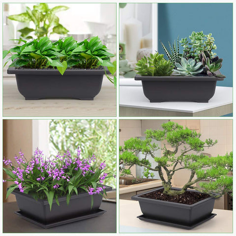 GROWNEER rectangle planter for bonsai suitable for windowsill and garden.