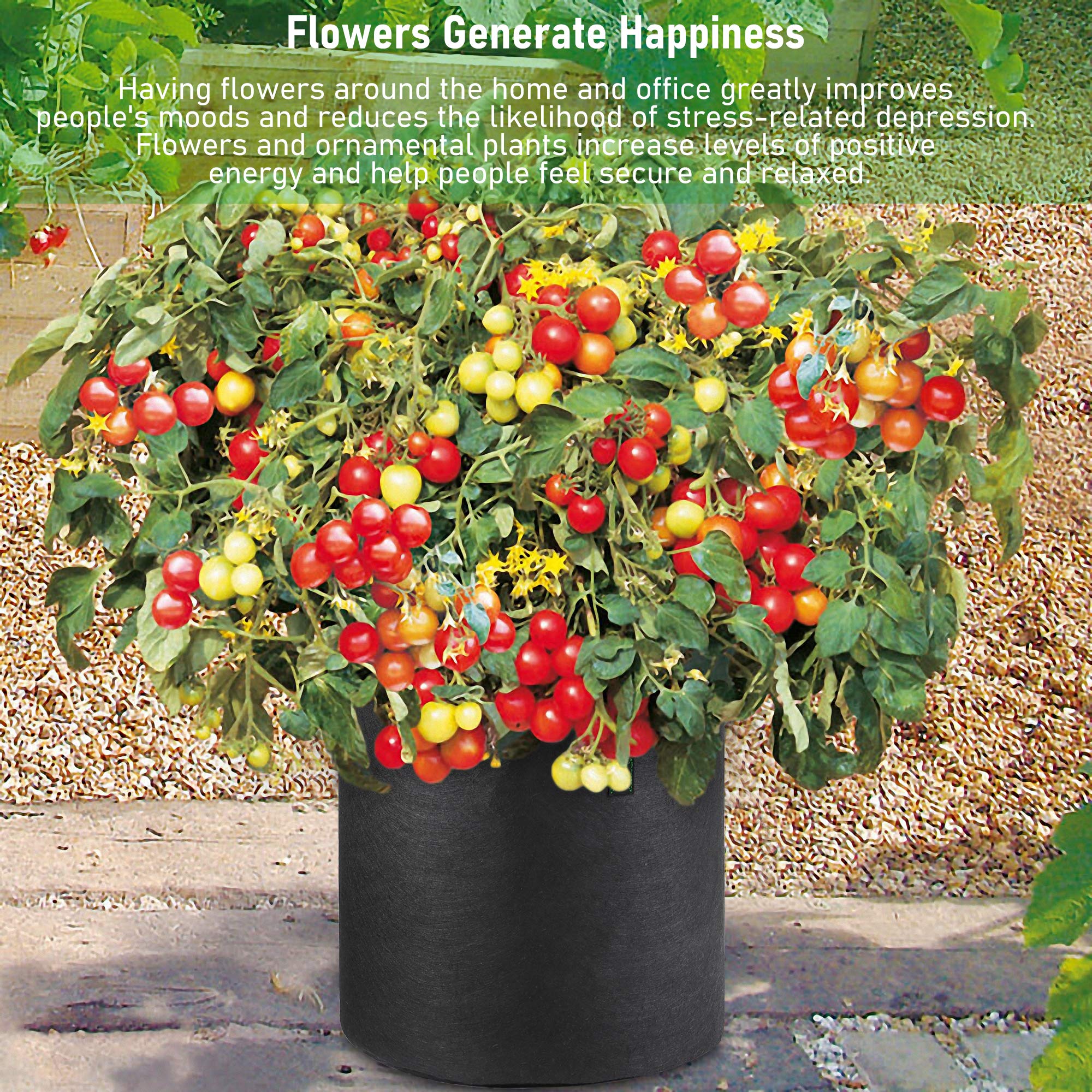 Five-pack Growpropel fabric pots for compact balcony gardens.