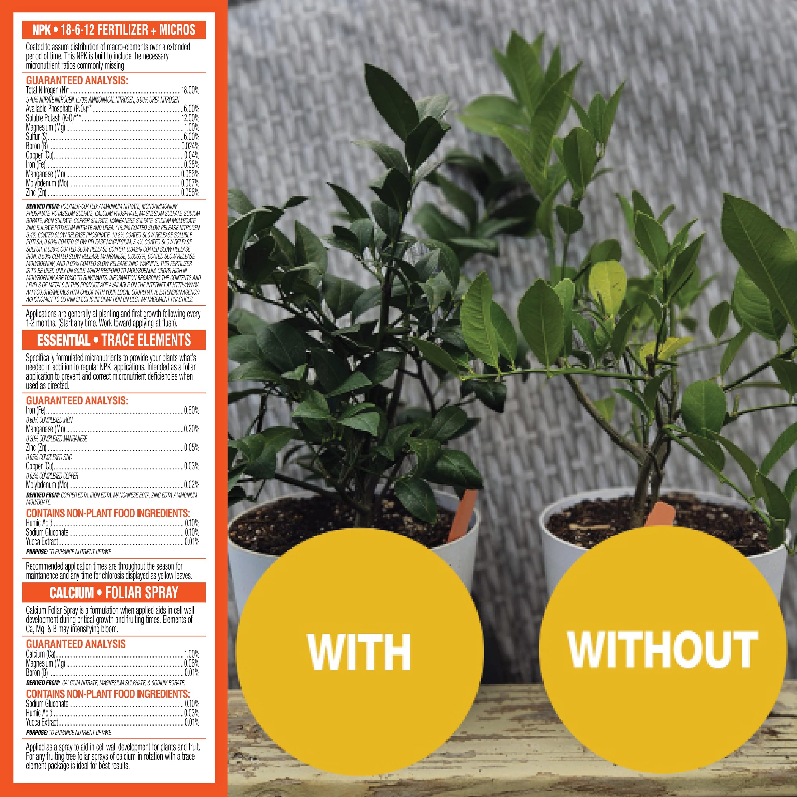 GrowScripts leaf color improving in a home citrus setup with balanced soil