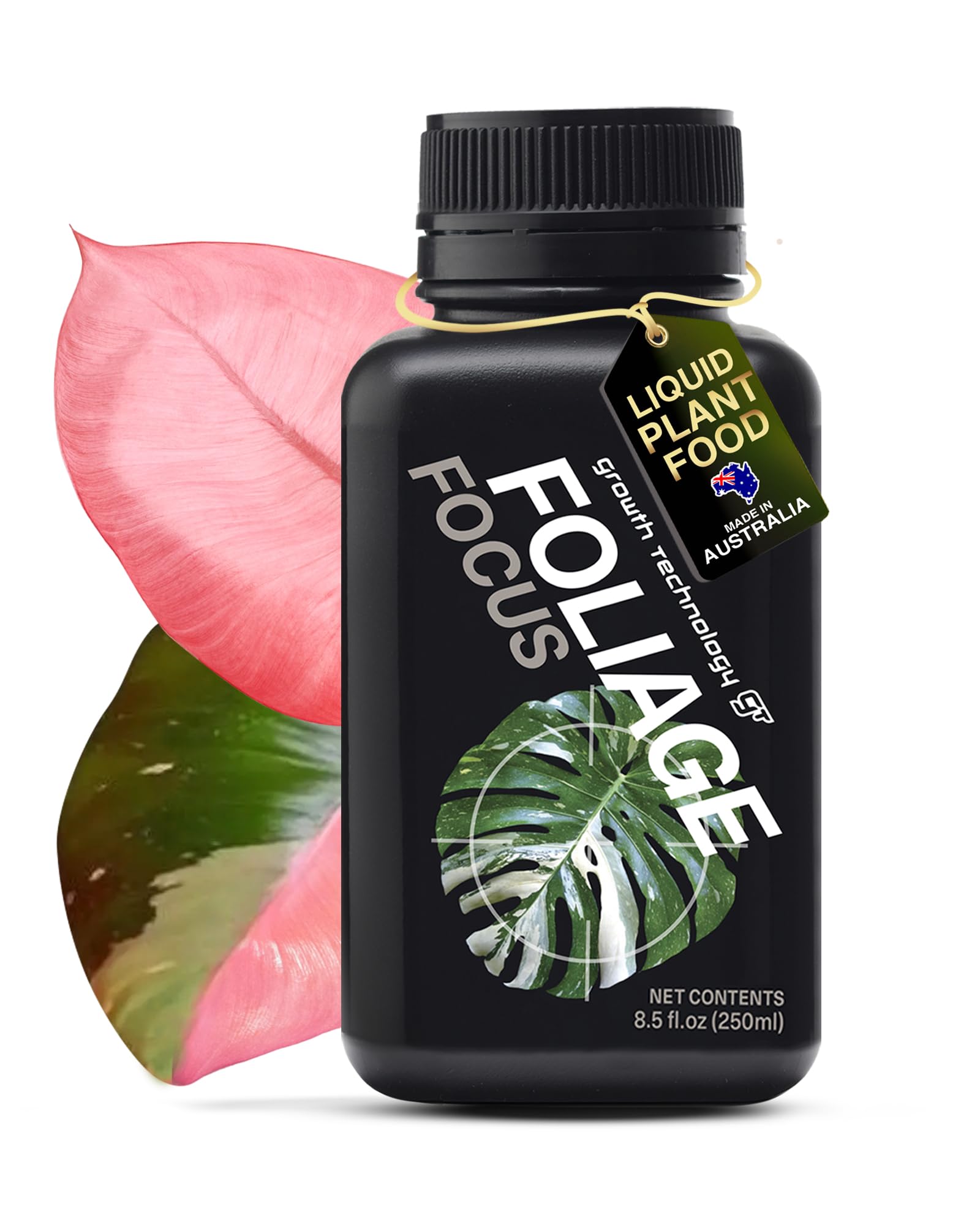 Growth Technology GT Foliage Focus bottle ready for easy indoor plant feeding.