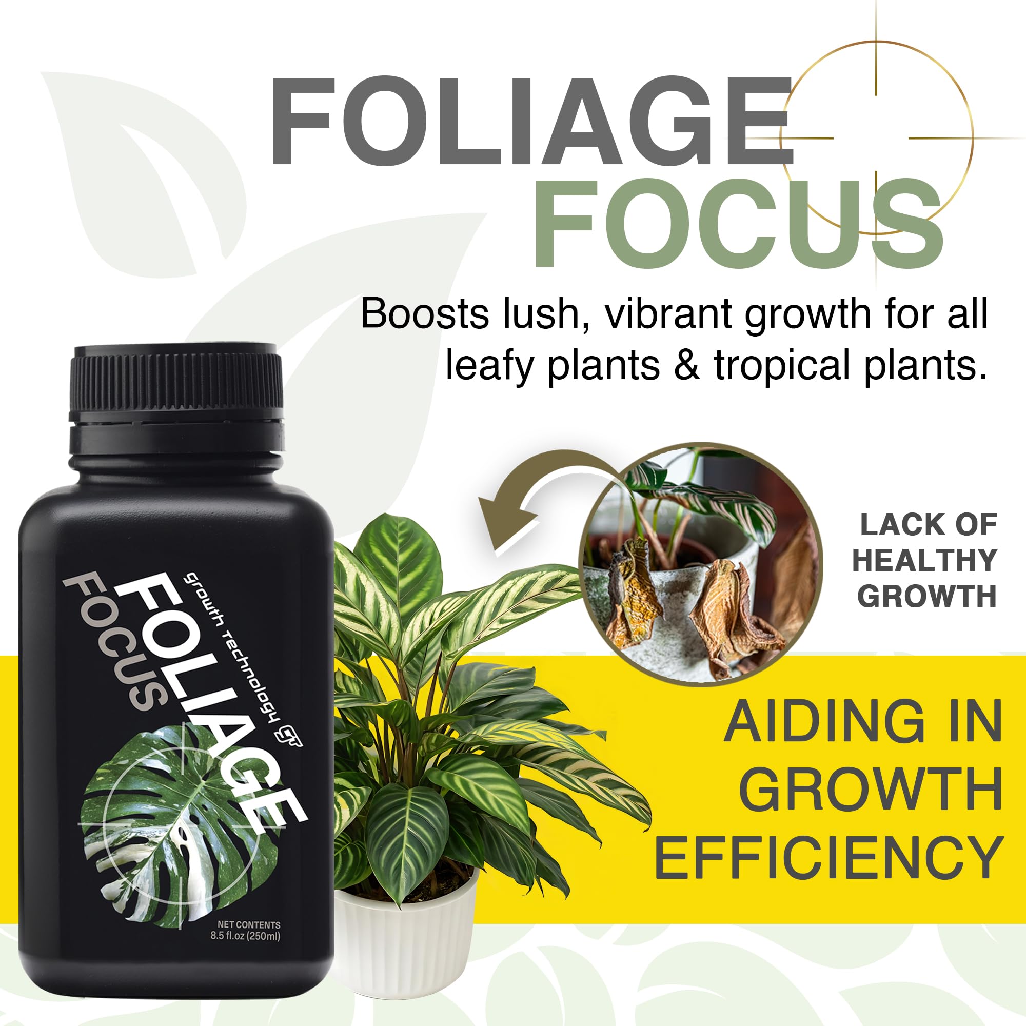 Growth Technology GT Foliage Focus dilution for soil feeding on plant roots.