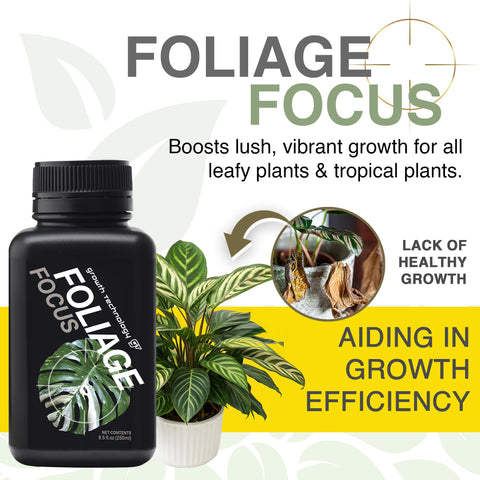 Growth Technology GT Foliage Focus dilution for soil feeding on plant roots.