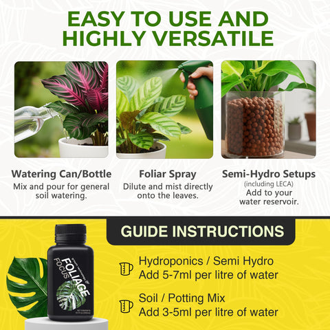 Growth Technology GT Foliage Focus spray applied to leaf surfaces for uptake.