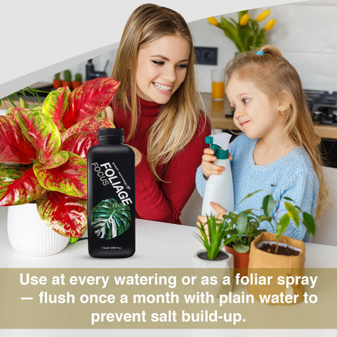 Growth Technology GT Foliage Focus bottle with a user-friendly, pH-buffered formula.