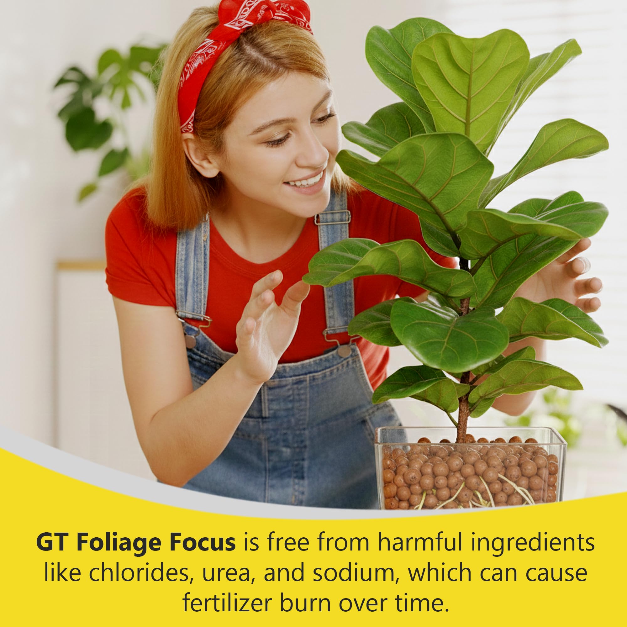Growth Technology GT Foliage Focus nutrient blend promoting leaf vitality.
