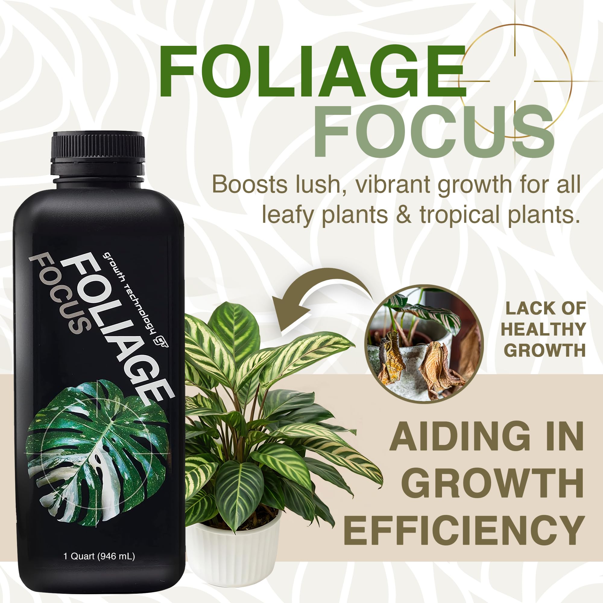 Growth Technology GT Foliage Focus close-up of healthy, vibrant leaves.