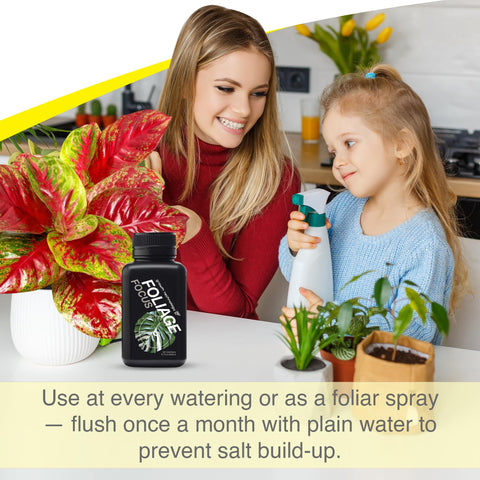Growth Technology GT Foliage Focus compact bottle on a home shelf.