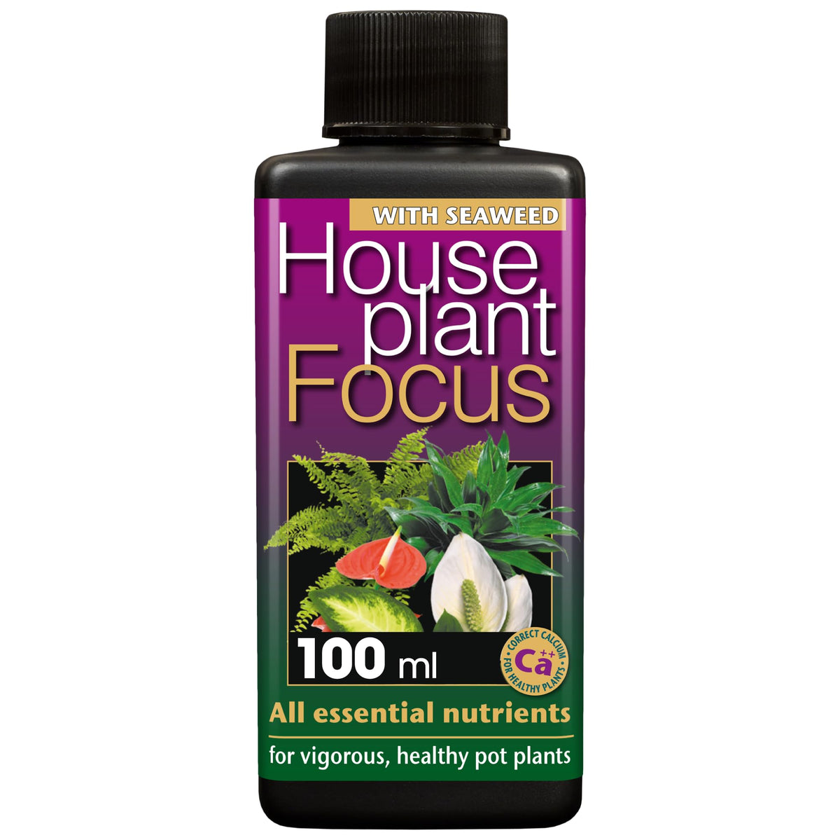 Growth Technology Potted Plant Focus bottle closeup highlights a ready-to-use fertilizer for thriving houseplants.