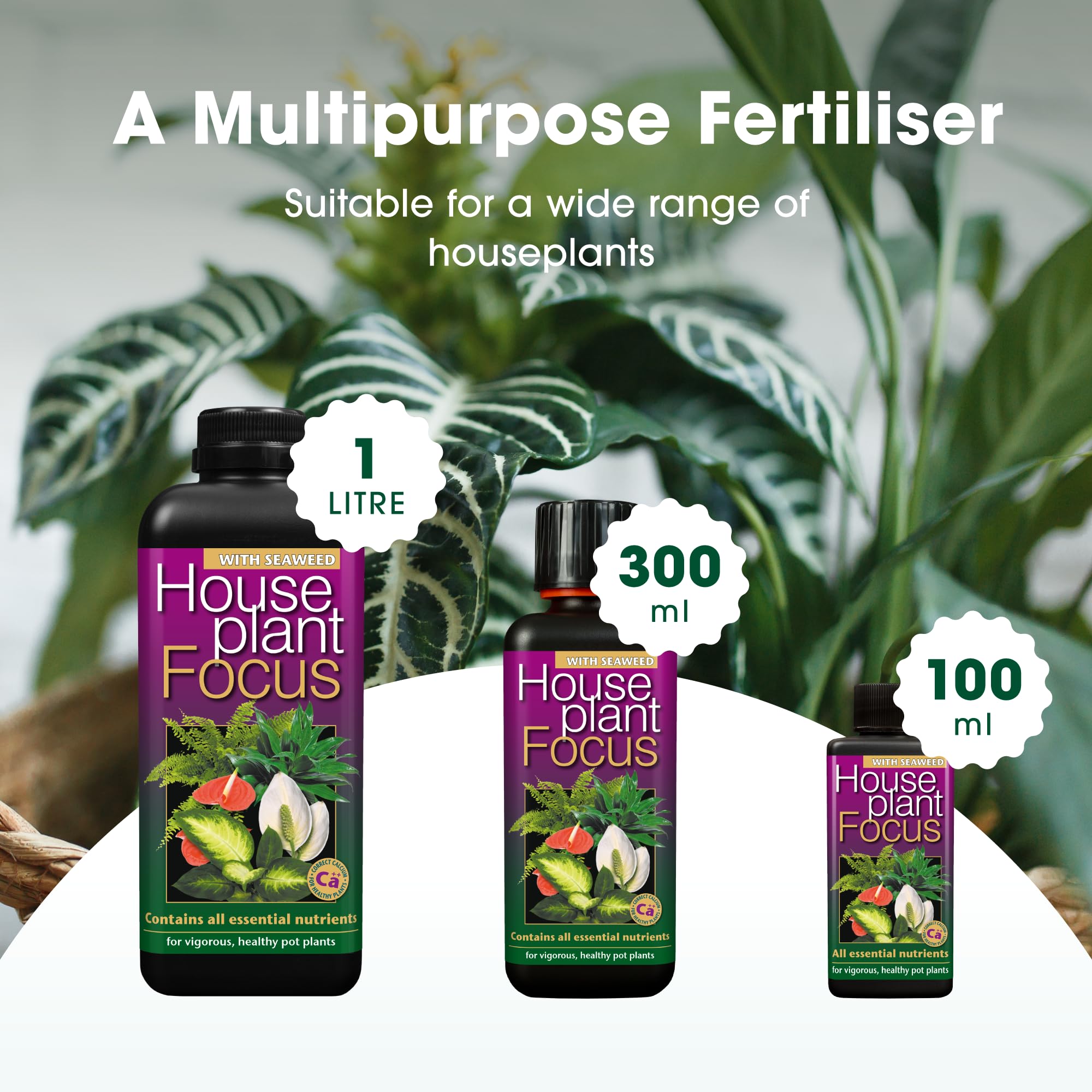 Growth Technology Potted Plant Focus dilution in glass demonstrates easy mixing and dosing.