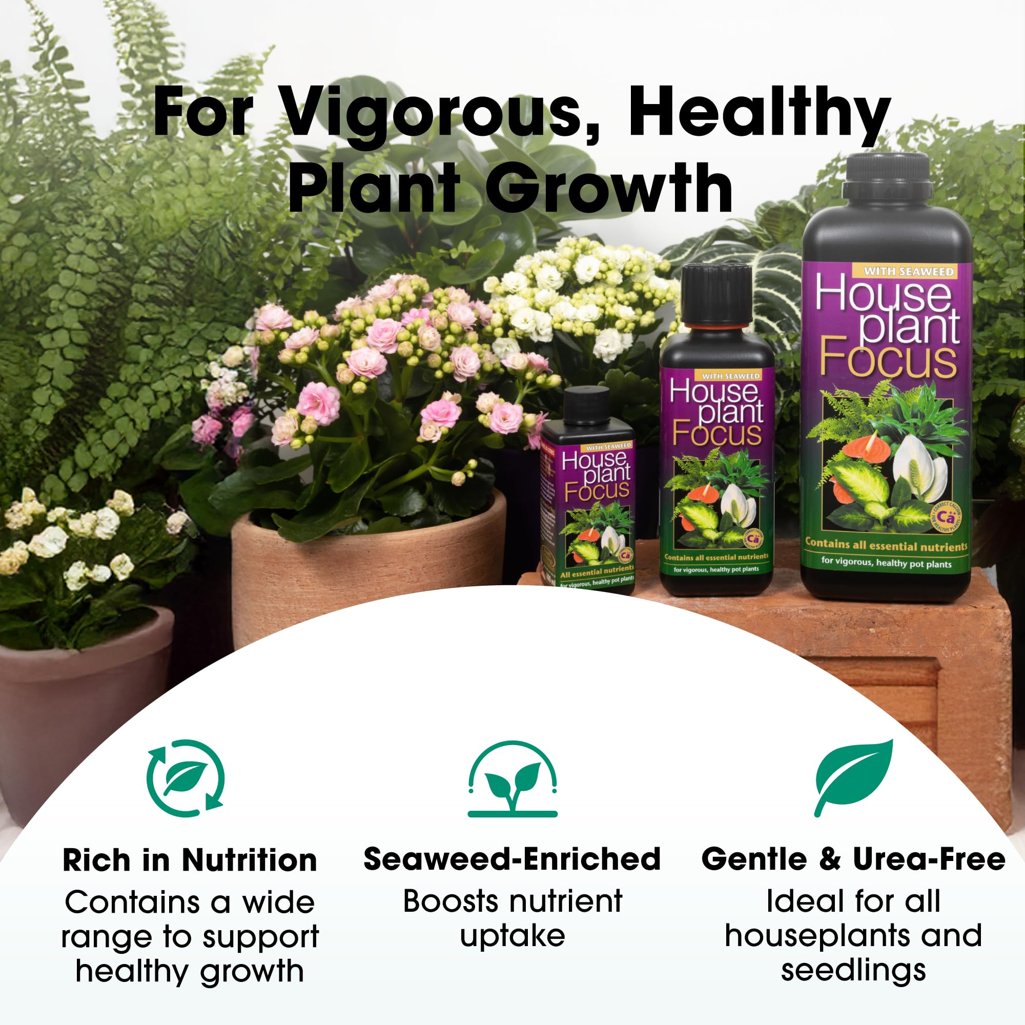 Growth Technology Potted Plant Focus houseplants in pot scene shows broad indoor plant compatibility.