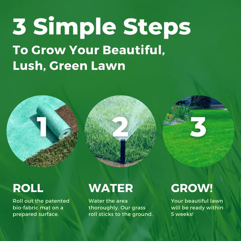 Growtrax green lawn after watering for even coverage
