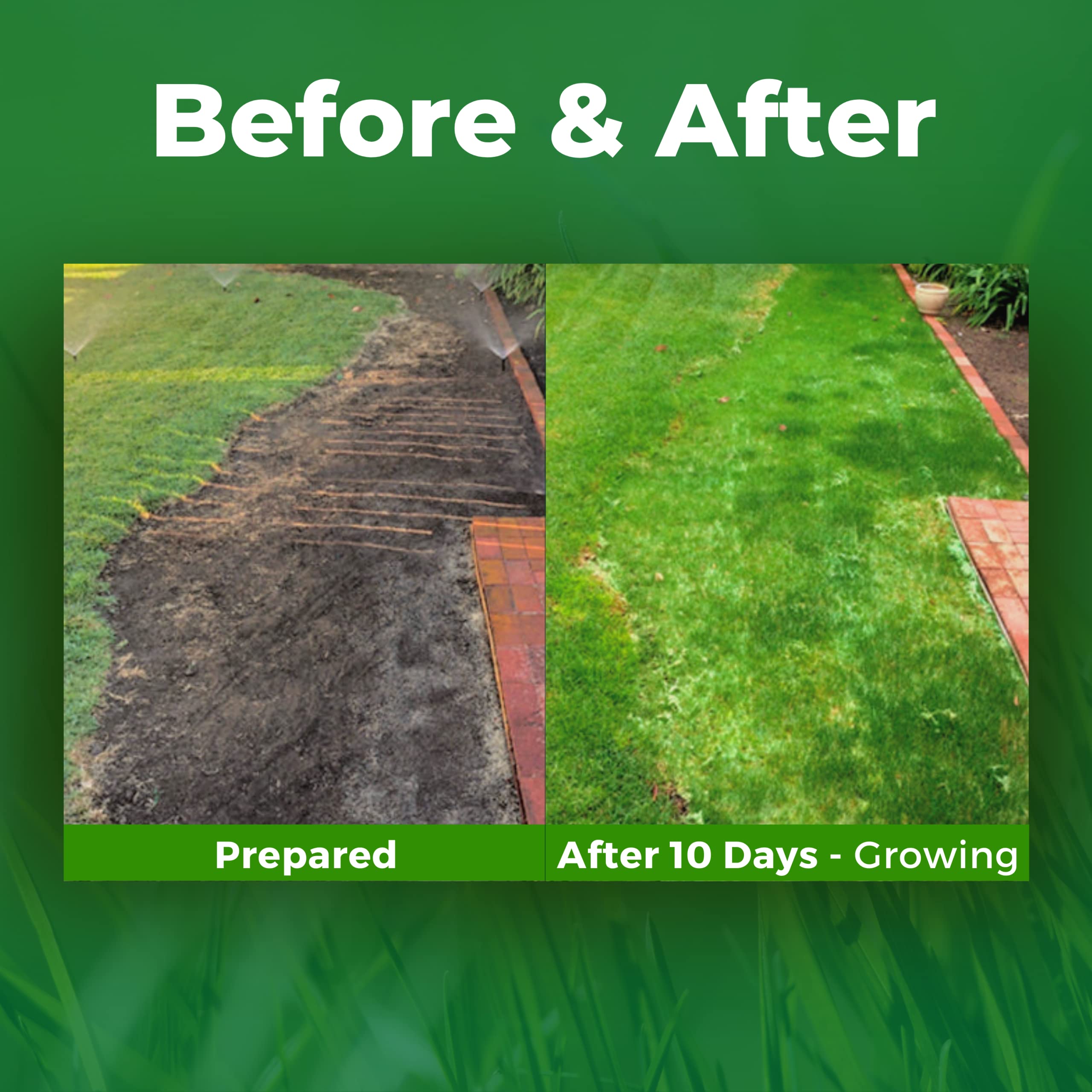 Growtrax year-round green turf survives cold winters