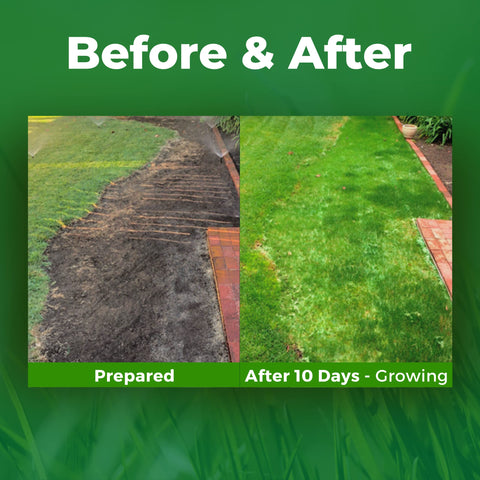 Growtrax year-round green turf survives cold winters