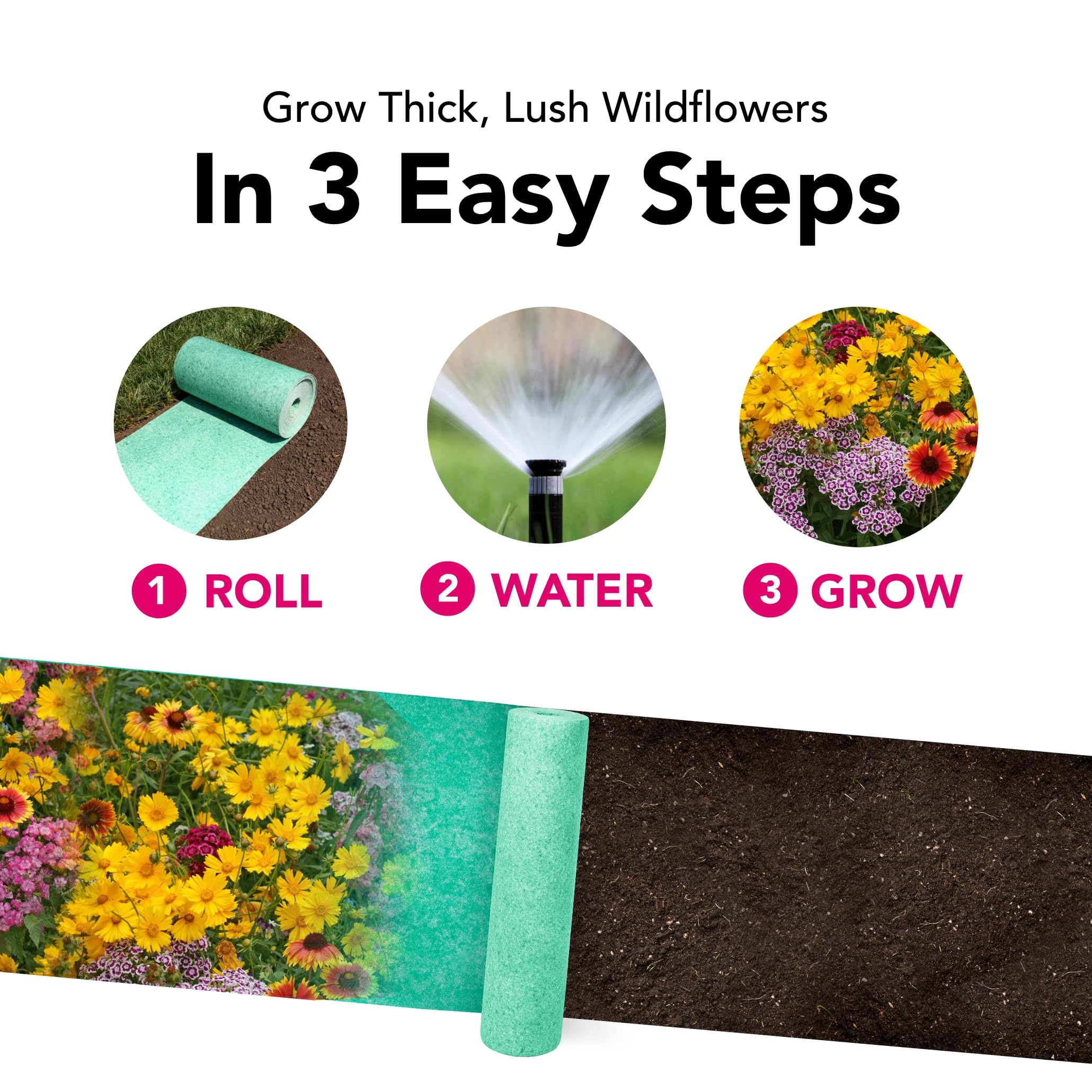Growtrax zinnia-tulip bulbs ready to plant for vibrant spring to summer color
